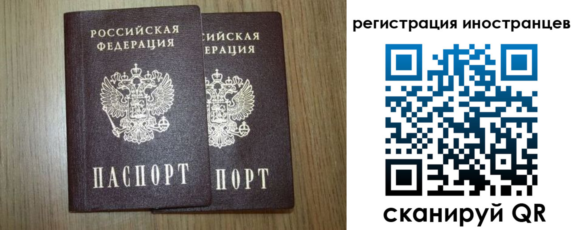прописка для школы в Ногинске